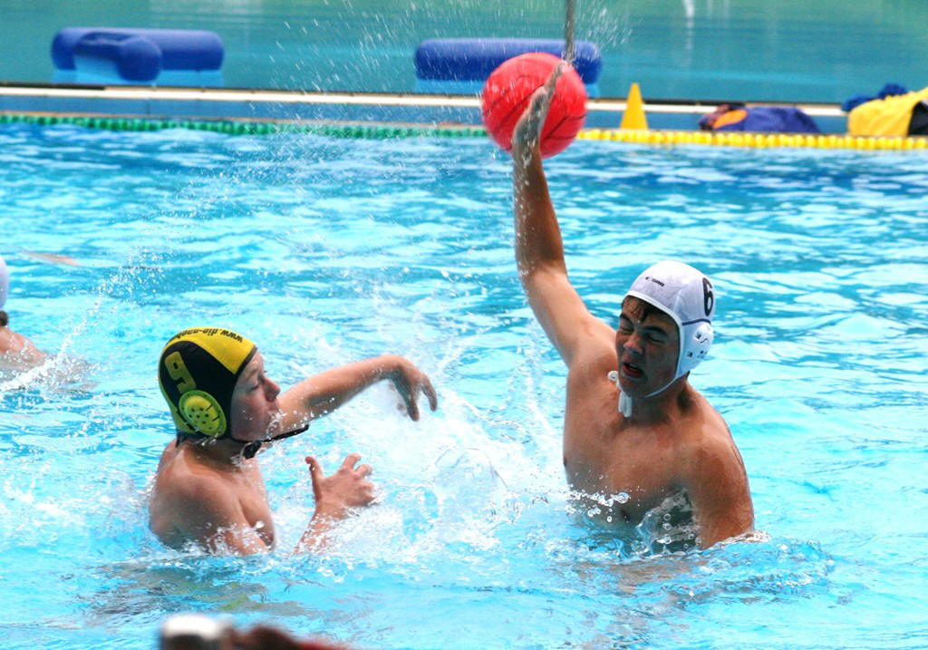 2008_CPokend_Uerd-Auerb1